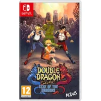 Double Dragon Gaiden: Rise of the Dragons /Nintendo Switch